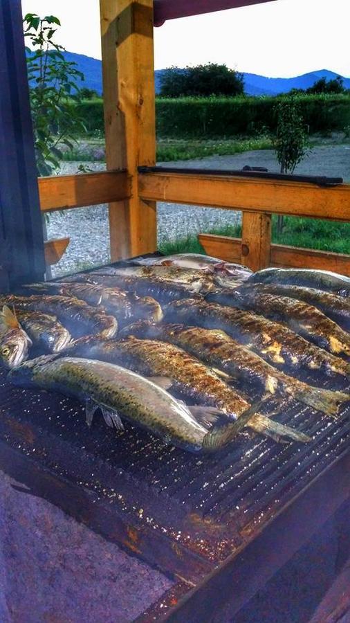 Pastravaria Ursu Vînători-Neamţ Kültér fotó